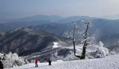 Tunceli okullar tatil mi? YILBAŞI 1 Ocak Çarşamba Tunceli okul yok mu (Son Dakika Tunceli Valiliği)?