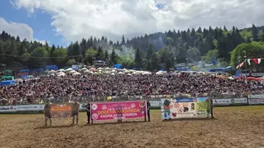 Kafkasör Festivali Boğa Güreşleriyle Sona Erdi